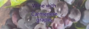 Wine with Carmenere grapes