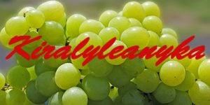 Kiralyleanyka grapes