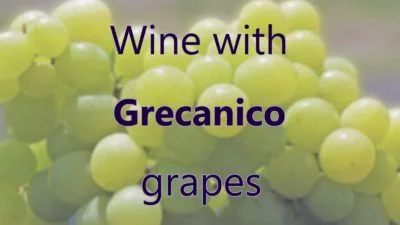 Wine with Grecanico grapes