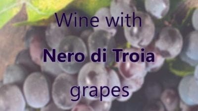 Wine with Nero di Troia grapes