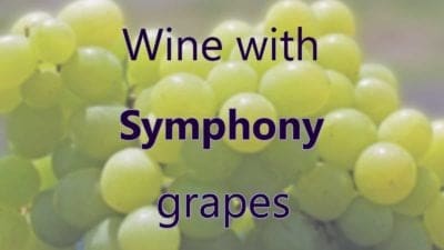 Wine With Symphony Grapes