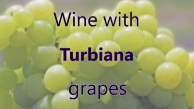 Wine with Turbiana Grapes