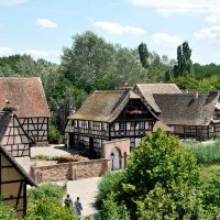The Secret behind Alsace Wines