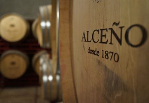 Winery Bodegas Alceno