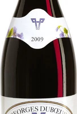 Duboeuf - Chiroubles 2010 Flower Label 75cl Bottle