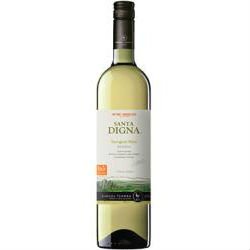 Torres Chile - Santa Digna Sauvignon Blanc 2014 75cl Bottle