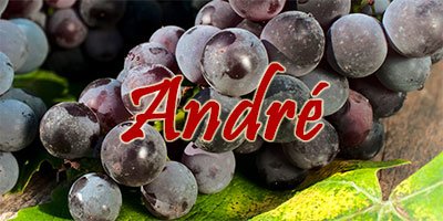 Wine with André grapes