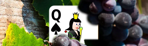 Black Queen grapes card
