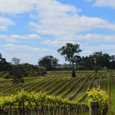 Eden Valley Australia