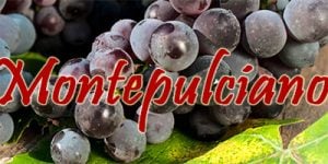 Montepulciano Grapes