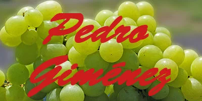 Pedro acknowledged grape is white Gimenez wine as in variety