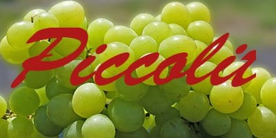 Piccolit Piccolit