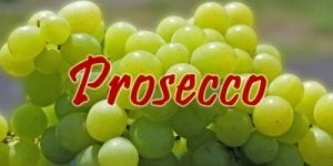 Wine with Prosecco grapes