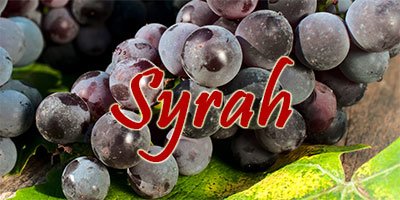 Wines with Syrah grapes