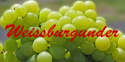 Weissburgunder Weissburgunder
