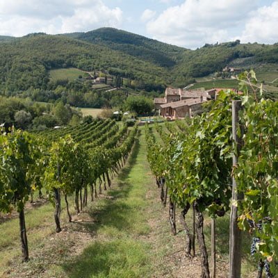 Wines from Chianti